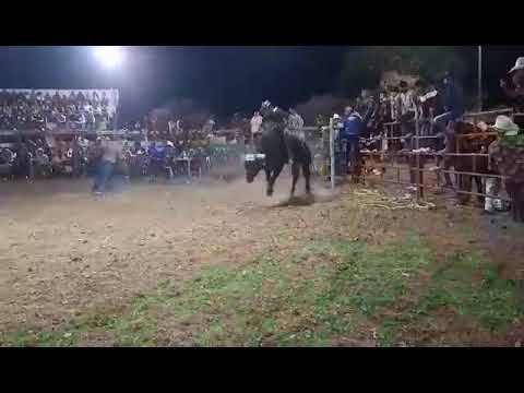 Divino Tesoro VS  Guerrerito de Temaxcalapa  Rancho San Isidro Texahualco Gro💥