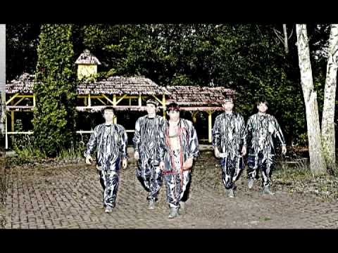 Timid Tiger - Miss Murray