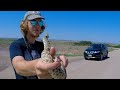 My Name Is Giovanni Giorgio Snake Whisperer