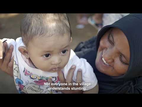 Smart Charts: A Cost-Effective Stunting Solution Rolled Out at Scale