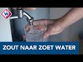 Op deze manier wordt zeewater zoet gemaakt - OMROEP WEST