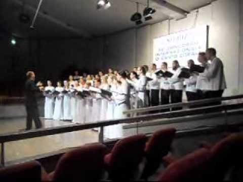 Video Flash Seghizzi 2011 - Svetozar Markovic