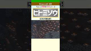 【Minecraft】ヒトミソウ解説！昼夜変化・染料・ハチの関係