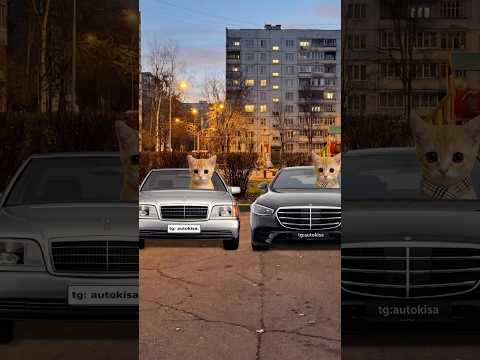 Mercedes W223 vs W140! Кисы объясняют 😻🚗 Выбирайте новые хорошие машины на Авто.ру. Ссылка в био