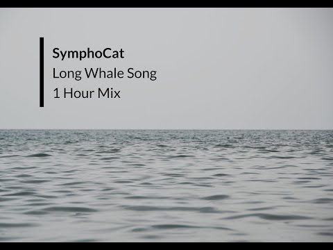 SymphoCat - Long Whale Song | 1 Hour Mix