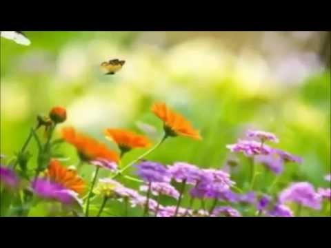 Зашто спиш душо моја... Монахиња Теодора Васић