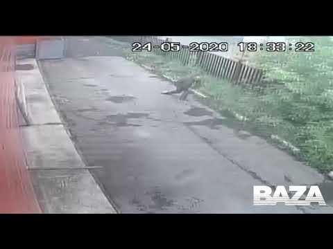 Видео с камер: одна из жертв сегодняшней перестрелки на юге Москвы