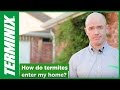 Protect Home From Termites - Termite Infestation - Terminix