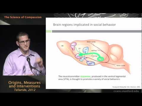 The Science of Compassion: Origins, Measures, and Interventions - Joel Finkelstein, Ph.D. candidate