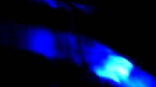 Papillion-Deichkind konzert 10 12 08