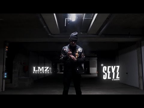 F R E E S T Y L E  Z V