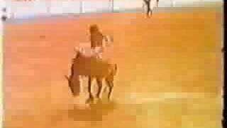Herb Alpert Tijuana Brass Casino Royale 1968 Original Video