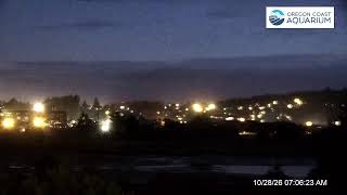 Oregon Coast Aquarium live webcam