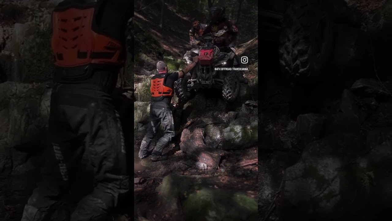 Wild Legends Video 1