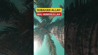 Download lagu SUBAHAN ALLAH| WAL HUMDULILLAH | ALLAH HO AKBAR | mp3