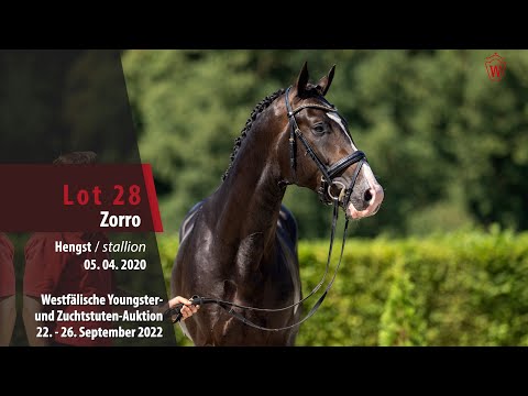 Online-Auktion Lot 28 Zorro Hengst v. Zoom - Ehrenpreis