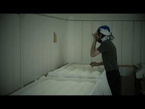 広島の日本酒　Les grands sakés  Hiroshima