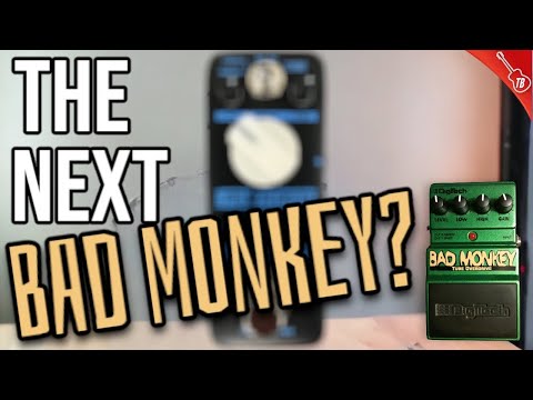 Next BAD MONKEY? This $35 Tube Screamer Copy Is GOOD
