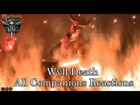 Baldur's Gate 3 - Wyll Death - All Companions Reactions