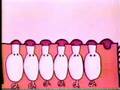 Classic Sesame Street Animation 7 Piglets