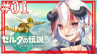 勇者夢魔再び【ゼルダの伝説 ティアーズ オブ ザ キングダム】#01