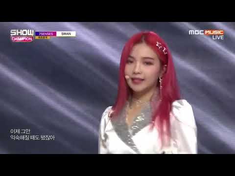 7 SENSES SWAN SHOW CHAMPION EP 305