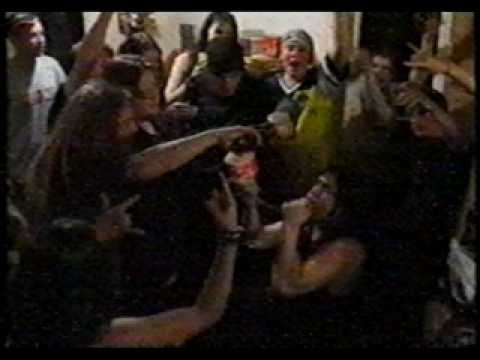 Distorted Minds - Ziffle