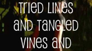 POISON IVY BY THE JONAS BROTHERS WITH LYRICS ON SCREEN