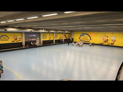 T14-HFC Pelicans -ErVi