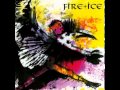 Fire + Ice "Birdking" 