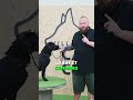 Teach Your Dog To Leave It #dogtraining