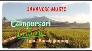 Download lagu Bocah gunung // Campursari calung @thononk mp3