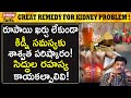 కిడ్నీ సమస్యకు అద్భుత పరిష్కారం ఇది | Try this Wonderful R