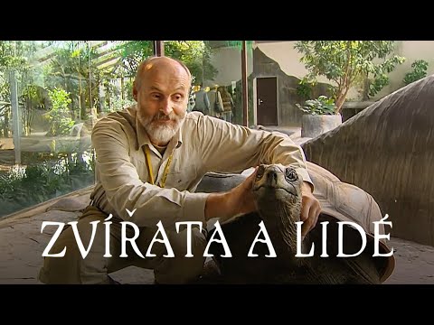 Zvířata a lidé