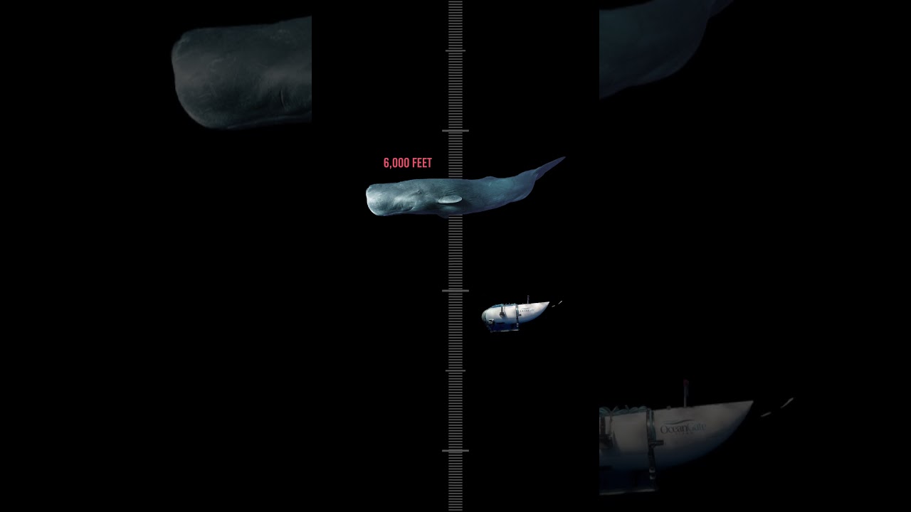 How DEEP is Titanic?