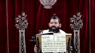 זבחים דף ס"ב ע''א ¤ הרב נתנאל אברז'ל ¤ בית הכנסת "בית מרדכי" (מוסדות תורת דוד) - התמונה מוצגת ישירות מתוך אתר האינטרנט יוטיוב. זכויות היוצרים בתמונה שייכות ליוצרה. קישור קרדיט למקור התוכן נמצא בתוך דף הסרטון