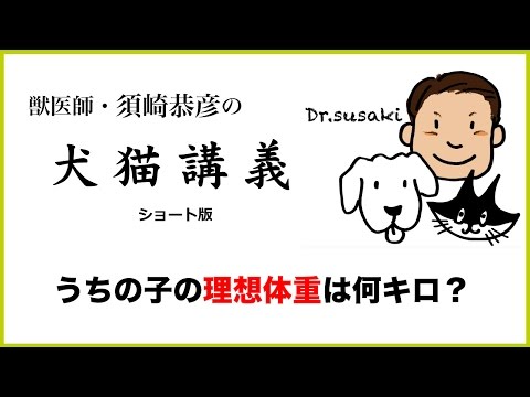 うちの猫の体重が増えないのですが、なぜですか?