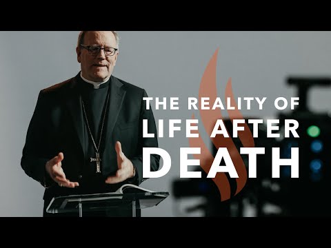 The Reality of Life After Death - Word on Fire Sermon