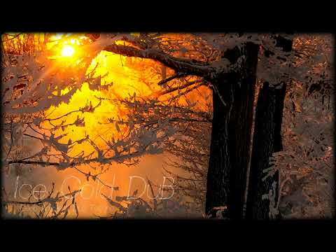 Liquid Fraction - Ice Cold DuB - Deep Ambient DuB Techno - Sep 2022