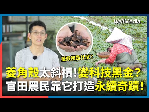 斜槓的菱角殼！從寢具跨足電池材料，菱殼炭挑戰取代石墨烯？台南官田將廢棄菱殼，華麗變身科技黑金！【WellTalk】