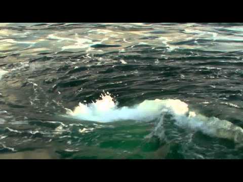 Corryvreckan Whirlpool Specials - August