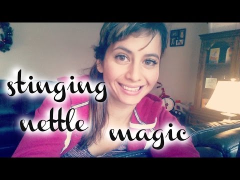 download lagu mp3 mp4 Nettle Tea Benefits For Acne, download lagu Nettle Tea Benefits For Acne gratis, unduh video klip Nettle Tea Benefits For Acne