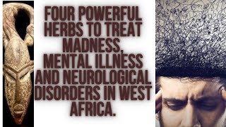 Four Powerful Herbs To Treat Madness,Mental Illness and Neurological Disorders in West Africa.