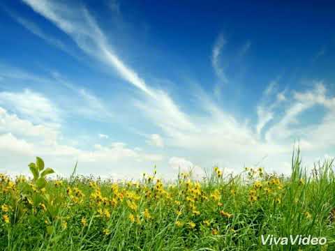 Felipe Felix o segredo é obedecer (playback)