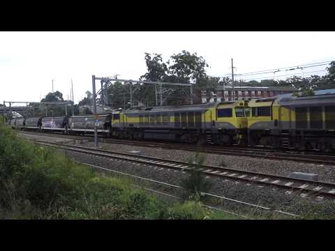 QBX005 & QBX006 with Qube 3462 grain - 19/1/19