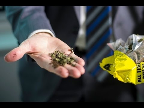 DROGEN IM GEPÄCK - Touristen als Drogenkuriere [DOKU 2017] (NEU in HD)