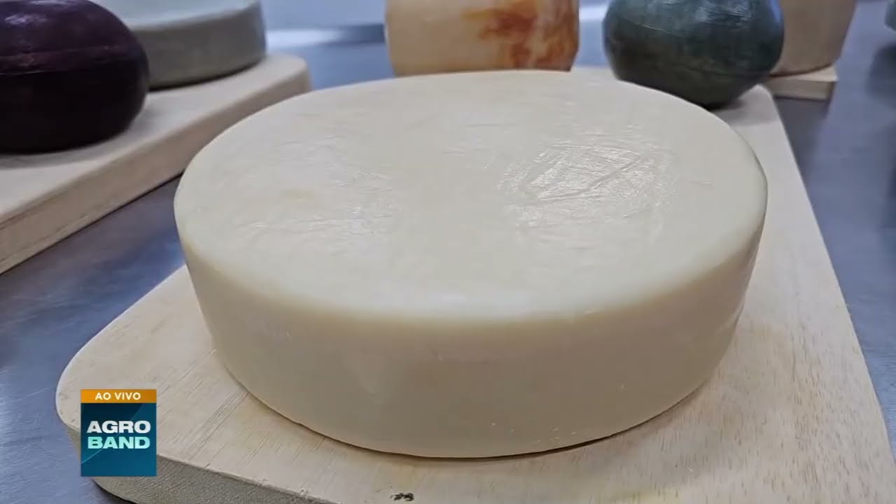 Laboratório no Paraná une ciência e tradição para criar queijos finos