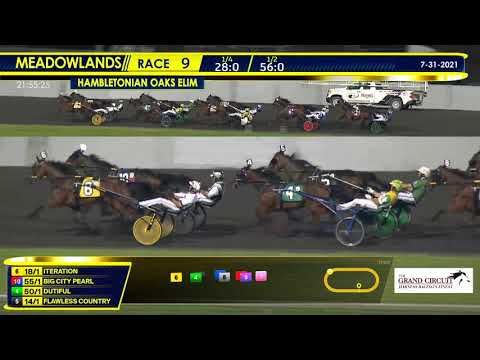 July 31, 2021 - Hambletonian Oaks Elimination 2