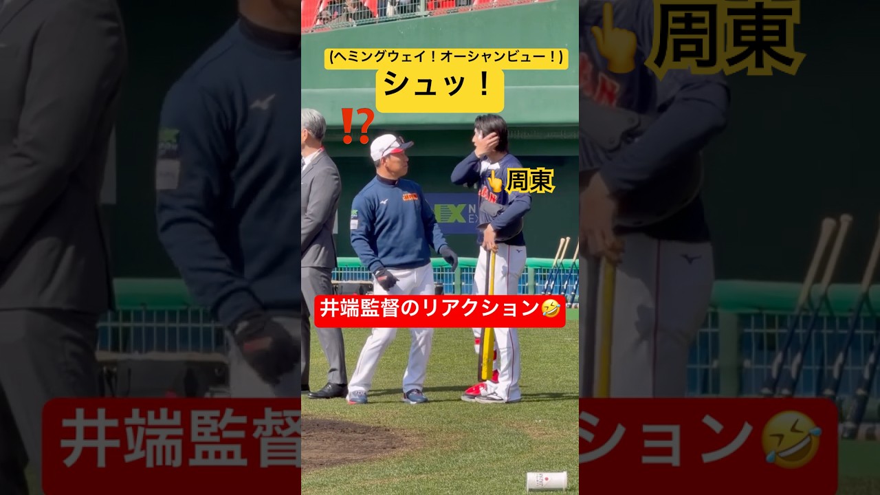 【現地観戦】井端監督のリアクションがヘミングウェイすぎた#井端弘和 #周東佑京 #wbc#samurai