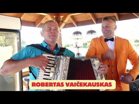 Muzikantas Robertas Vaičekauskas Renatos ir Petro vestuvėse Alytaus rajone